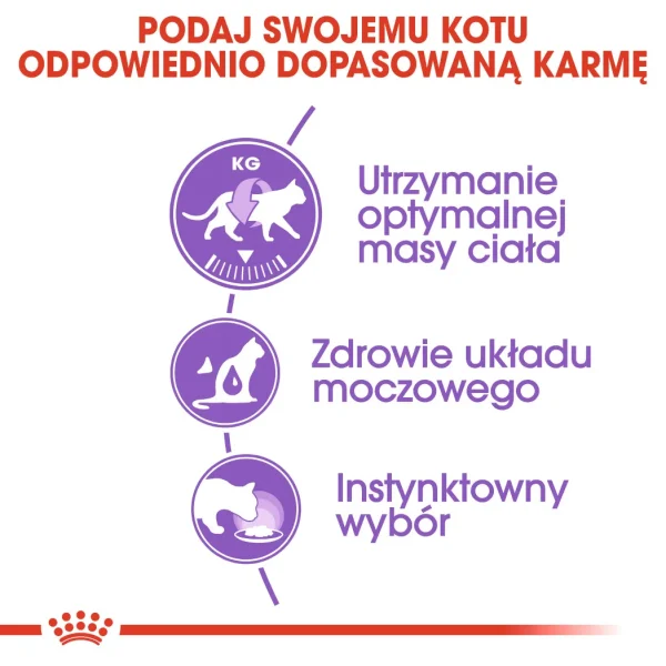 Karma mokra Royal Canin Sterilised W Sosie dla kotów po kastracji 12x85 g — widok 5