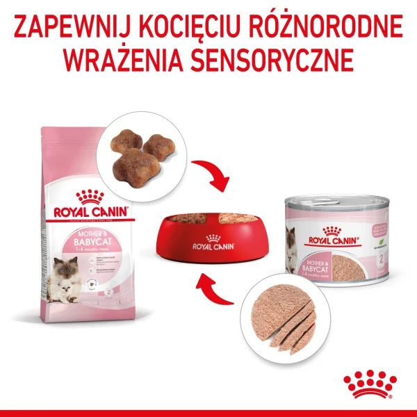 Karma mokra Royal Canin Mother & Babycat Ultra Soft Mousse 195 g — widok 6