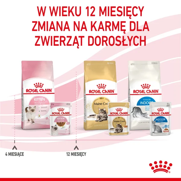 Karma mokra Royal Canin Kitten Instinctive dla kociąt w sosie 12x85 g — widok 11