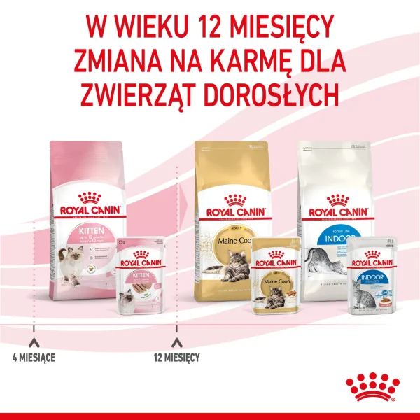 Karma mokra Royal Canin Kitten Pasztet dla kociąt 4-12 miesięcy 12x85 g — widok 10