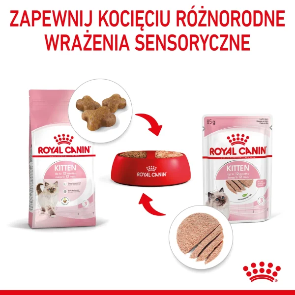 Karma mokra Royal Canin Kitten Pasztet dla kociąt 4-12 miesięcy 12x85 g — widok 7