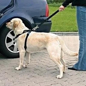 Szelki bezpieczeństwa Trixie dla psa Rozmiar M — widok 3