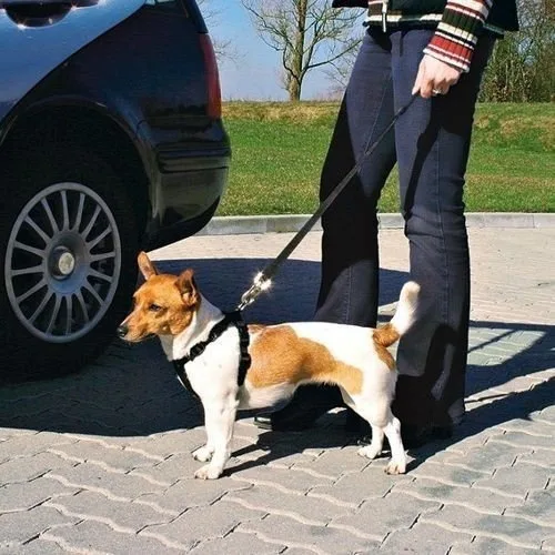 Szelki bezpieczeństwa Trixie dla psa Rozmiar L — widok 2