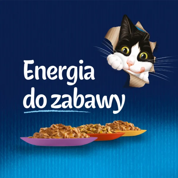 Karma mokra Felix Fantastic Mix Mięsny w Galaretce dla dorosłych kotów Mix smaków 44x85 g — widok 10