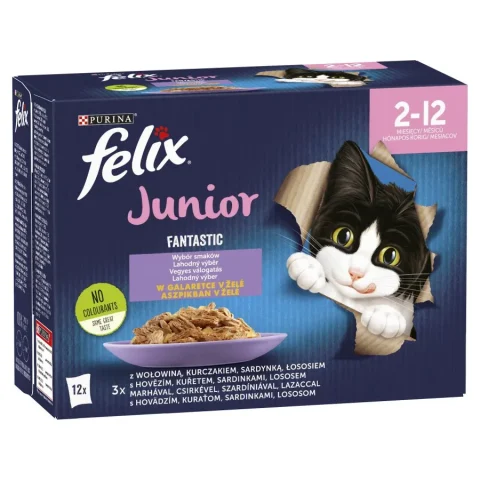 Karma mokra Felix Fantastic Junior dla kociąt Wołowina, Kurczak, Łosoś, Sardynka 12x85 g