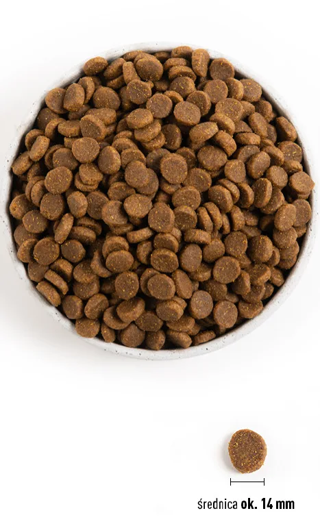 Karma sucha Acana Light & Fit dla dorosłych psów 2 kg — widok 4
