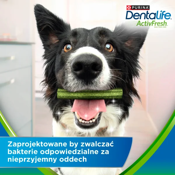 Przysmak Purina Dentalife Activefresh Medium Przysmak Dla Psa 5 Sztuk Miód 115 g — widok 2